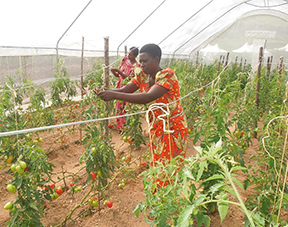Women Agripreneur Empowerment Program